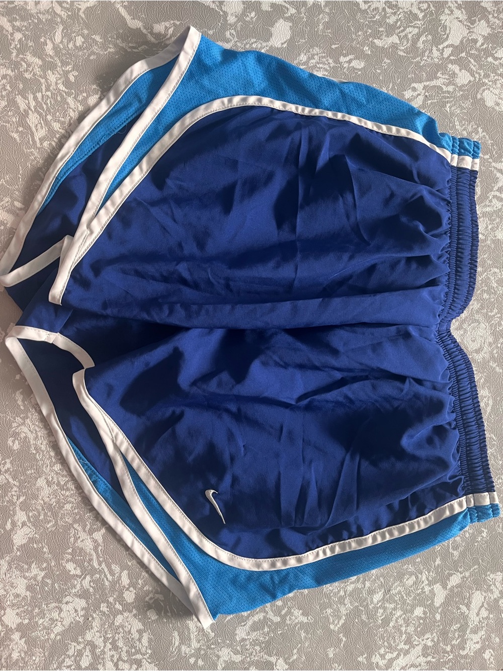 Nike Royal Blue and White Athletic Shorts